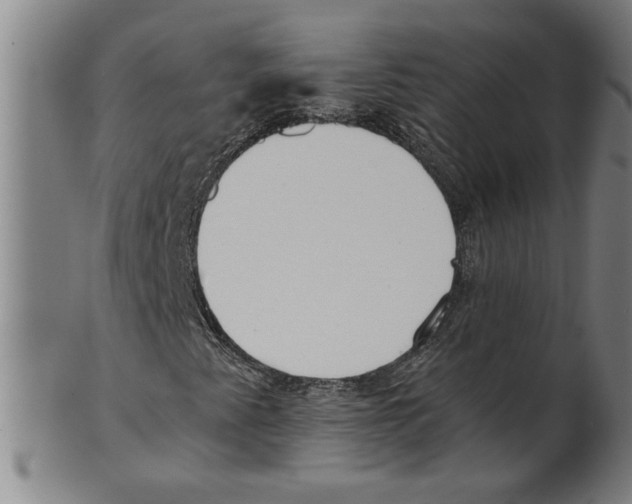 X0000099421345200806060945