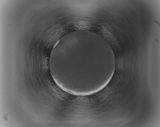 X0000099421346200806060945