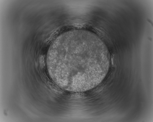 X0000099421347200806060945