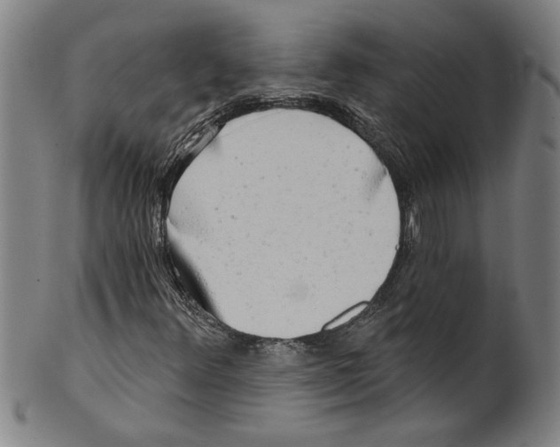 X0000099421348200806060945