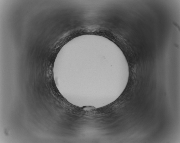 X0000099421349200806060945