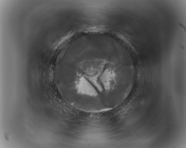 X0000099421350200806060945