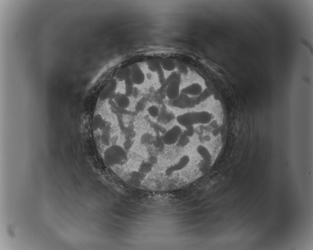 X0000099421351200806060945