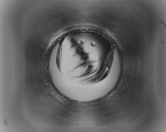 X0000099421352200806060945