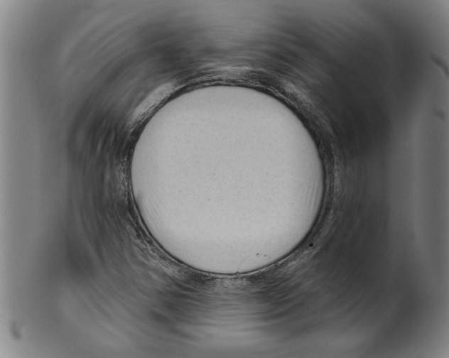 X0000099421354200806060945