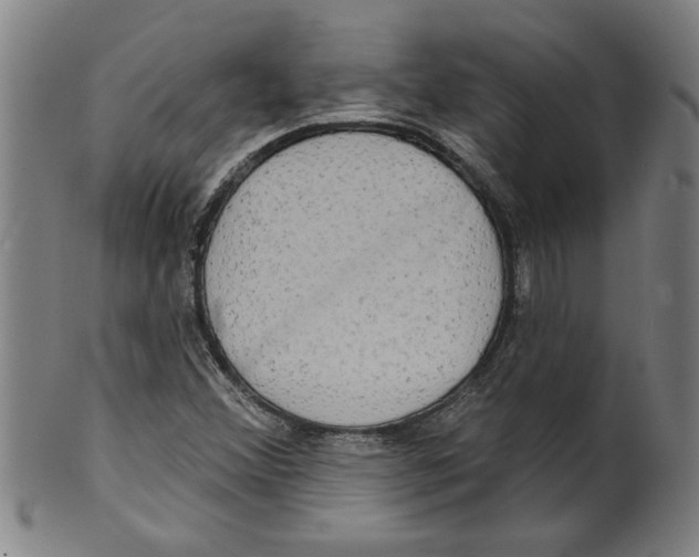 X0000099421356200806060945