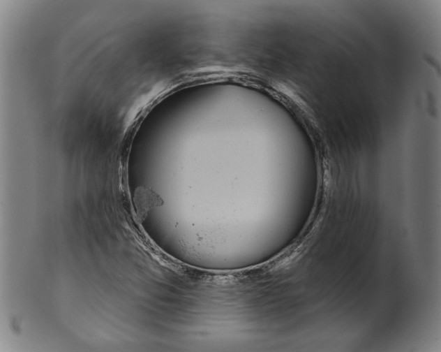 X0000099421357200806060945
