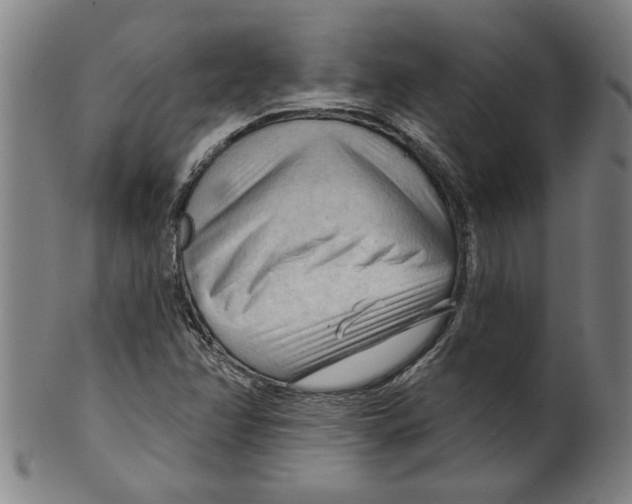 X0000099421358200806060945