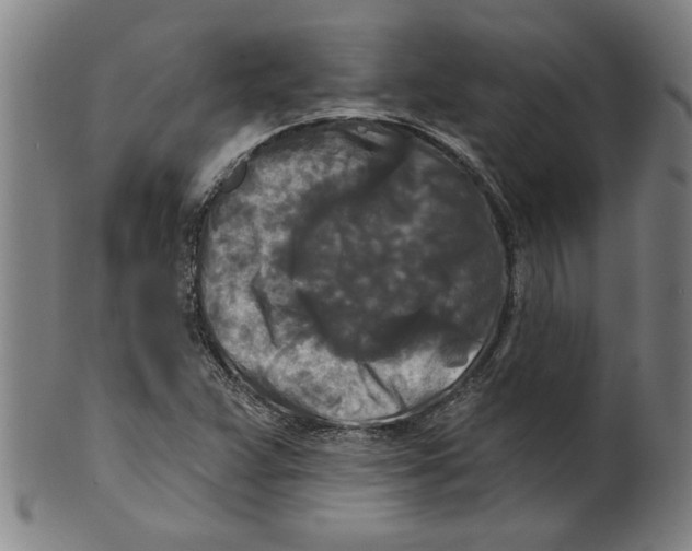 X0000099421359200806060945