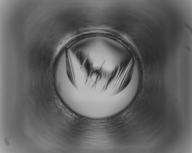 X0000099421360200806060945