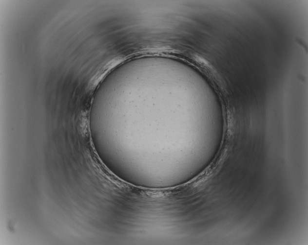 X0000099421361200806060945