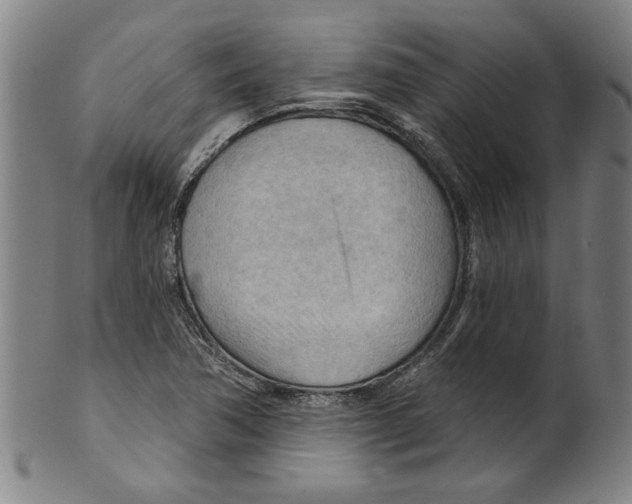 X0000099421362200806060945