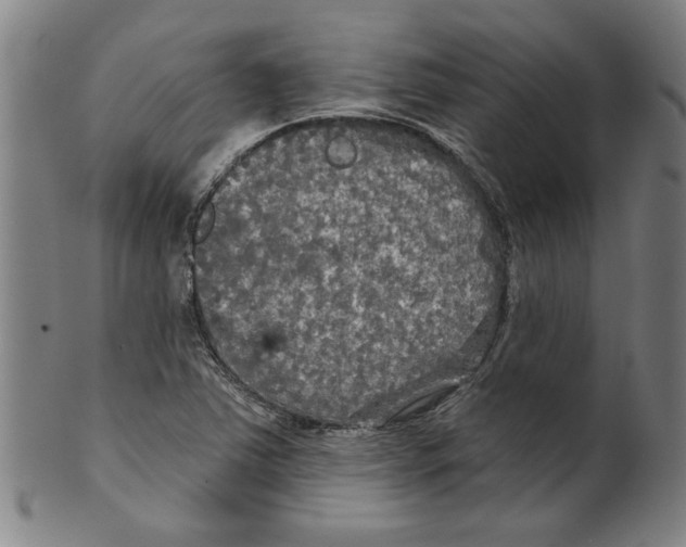 X0000099421363200806060945