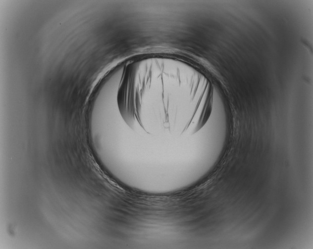 X0000099421364200806060945