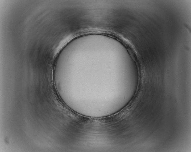 X0000099421365200806060945