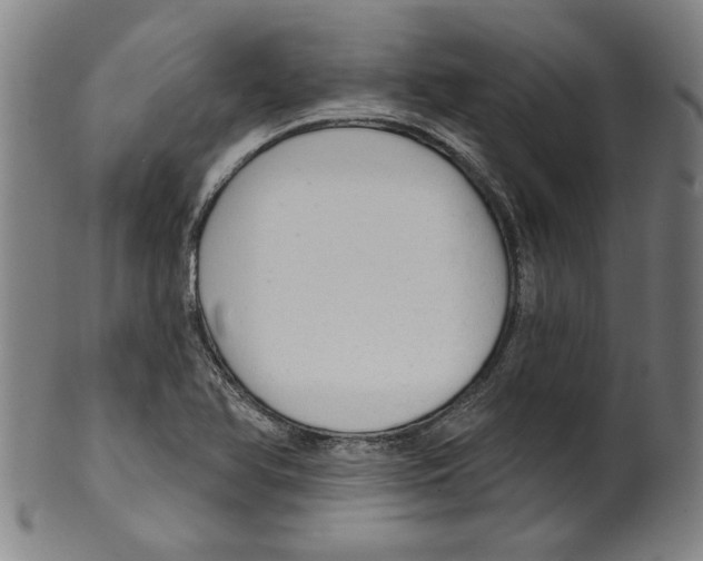 X0000099421366200806060945