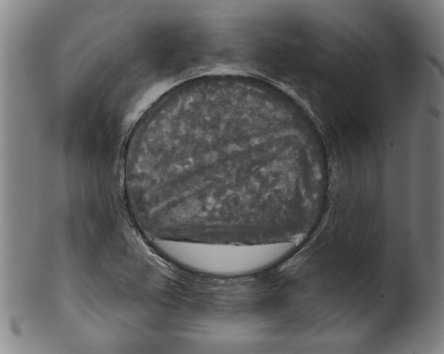 X0000099421367200806060945
