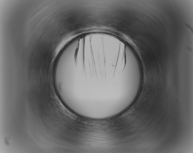 X0000099421368200806060945