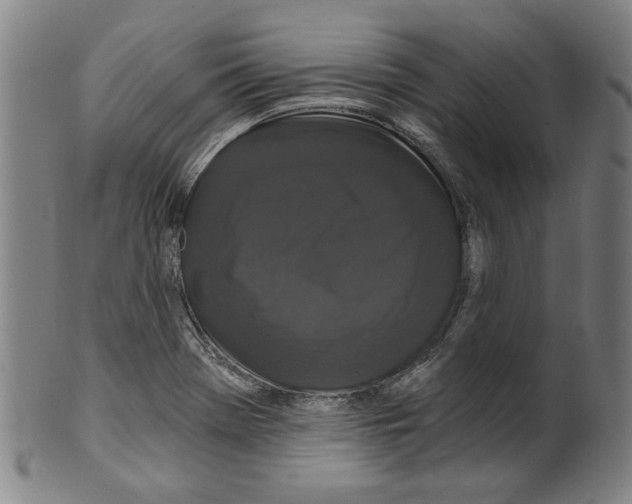 X0000099421369200806060945