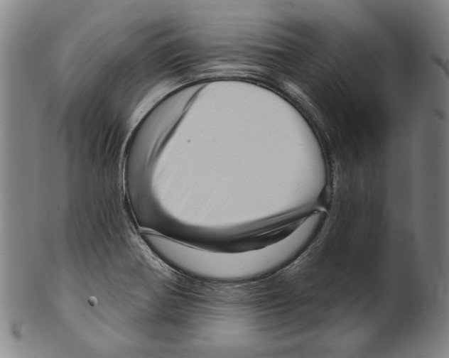 X0000099421370200806060945