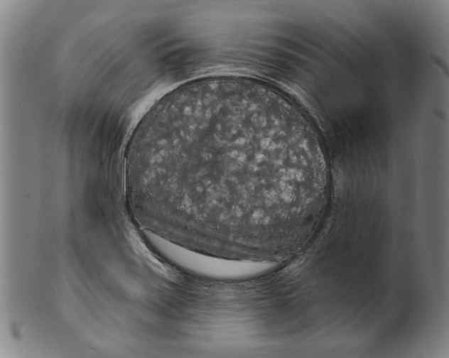 X0000099421371200806060945