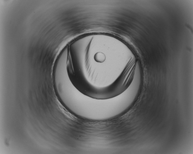 X0000099421372200806060945
