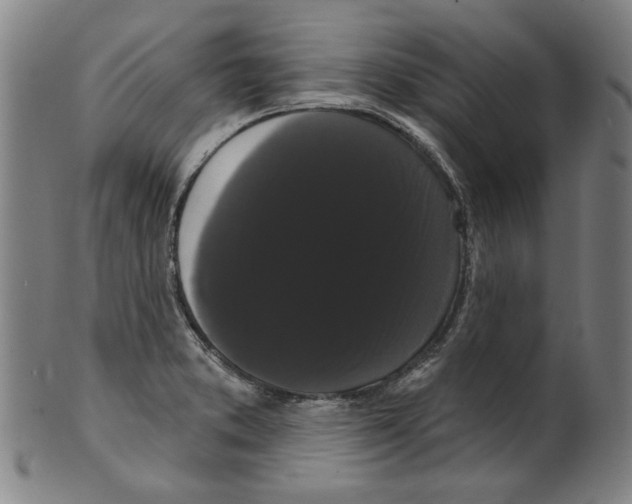 X0000099421373200806060945