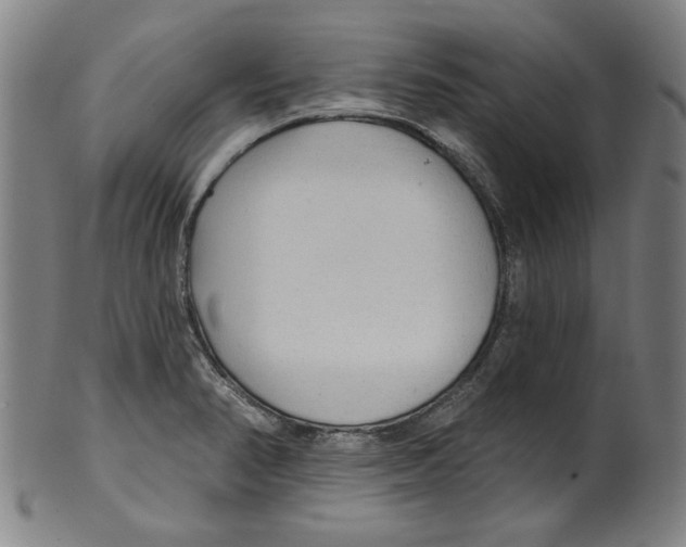 X0000099421374200806060945