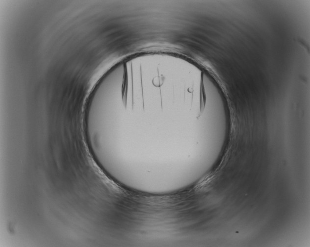 X0000099421376200806060945