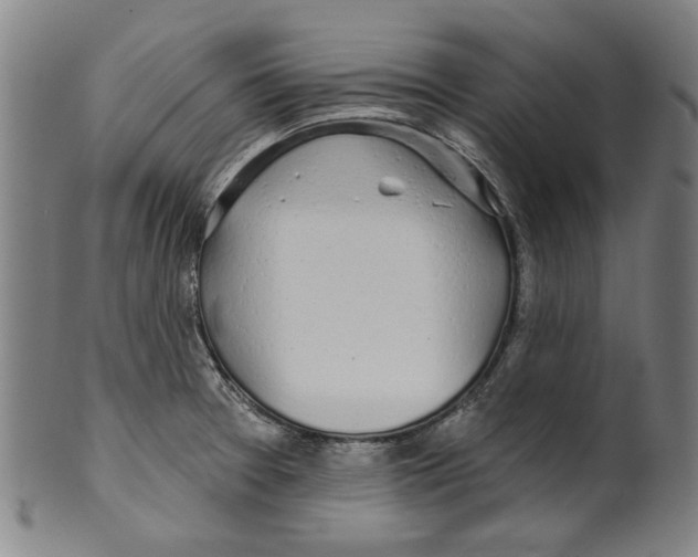 X0000099421377200806060945