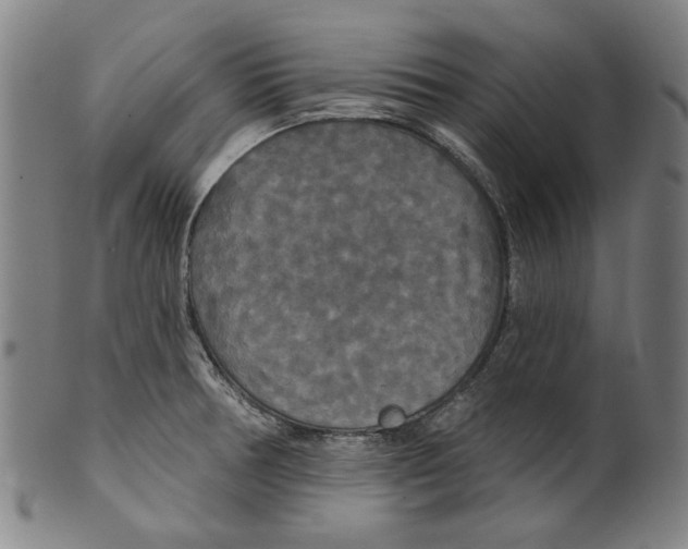 X0000099421378200806060945