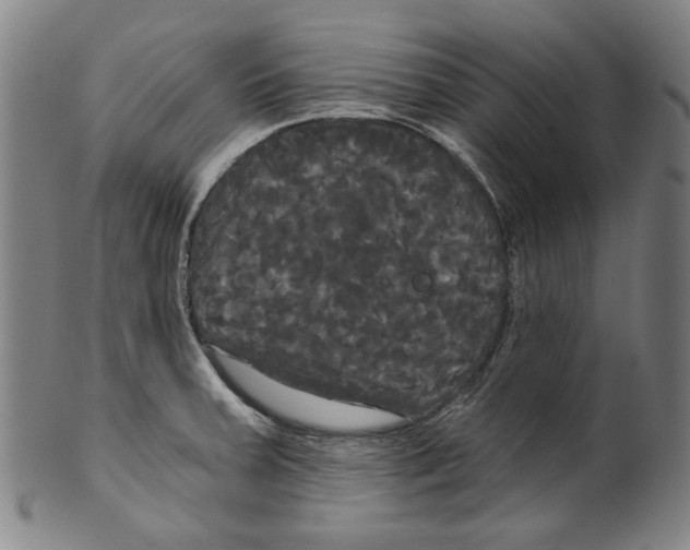 X0000099421379200806060945