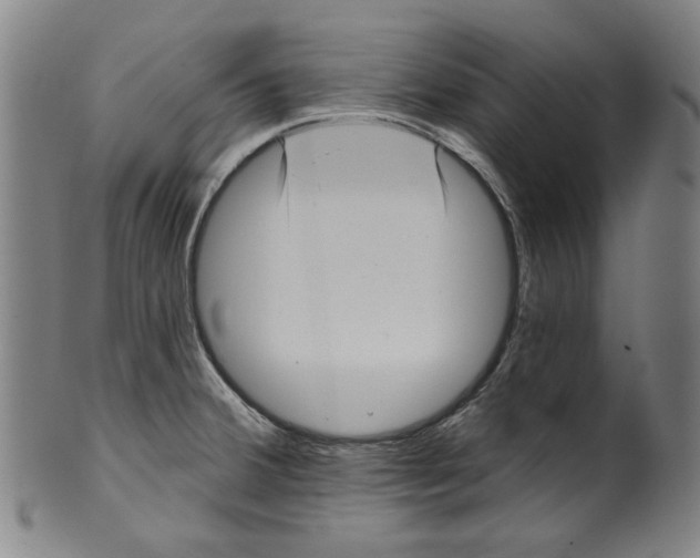 X0000099421380200806060945