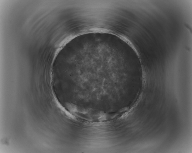 X0000099421381200806060945