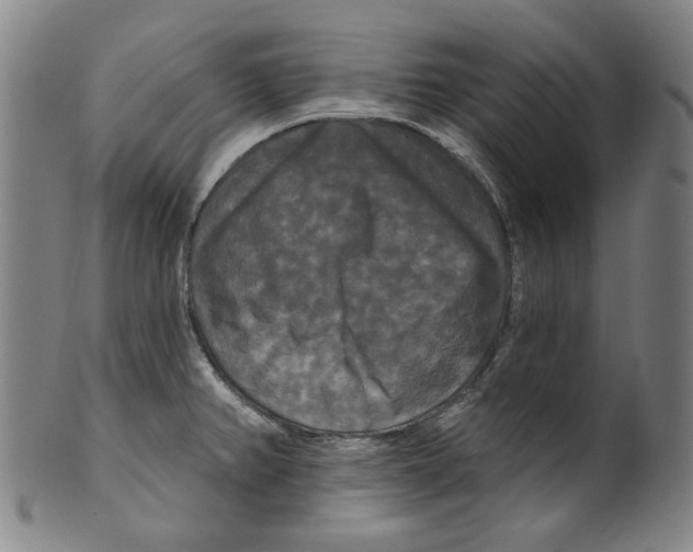 X0000099421382200806060945