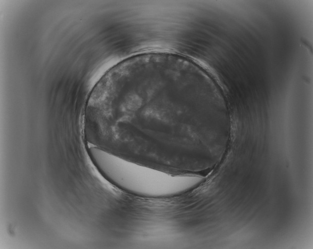 X0000099421383200806060945