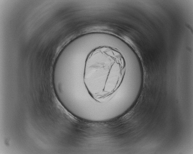 X0000099421384200806060945