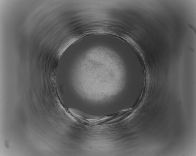 X0000099421385200806060945