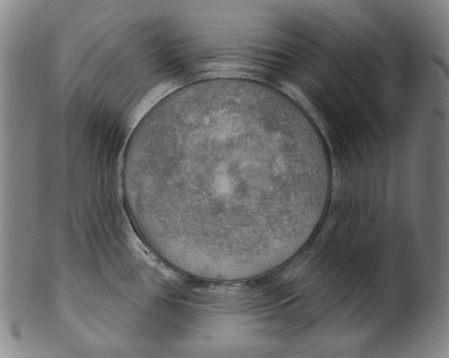 X0000099421386200806060945