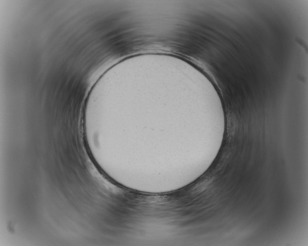 X0000099421387200806060945