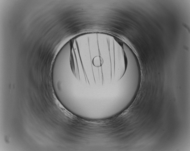 X0000099421388200806060945
