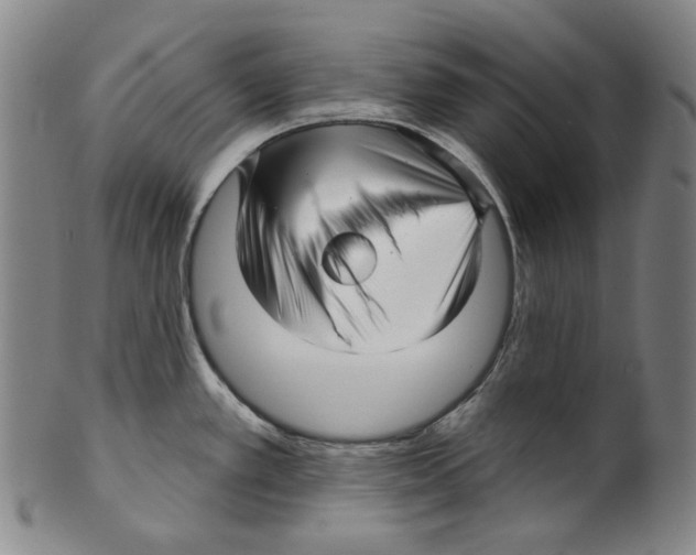 X0000099421389200806060945