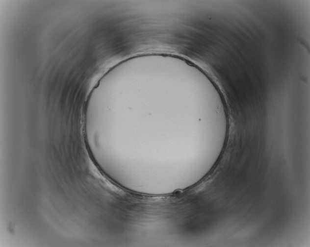 X0000099421390200806060945