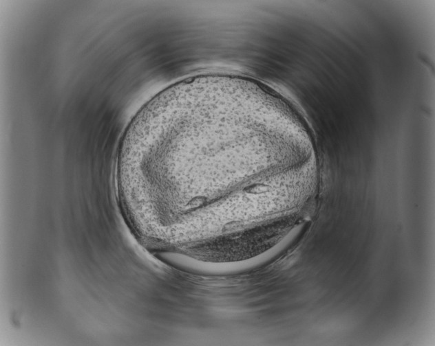 X0000099421391200806060945