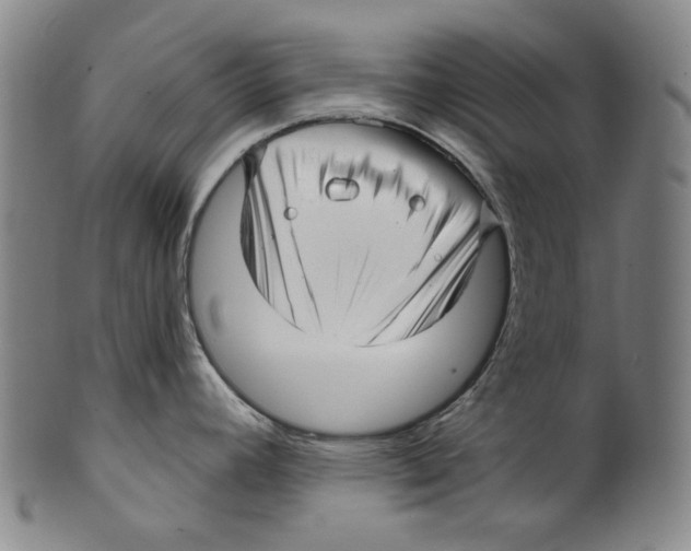 X0000099421392200806060945