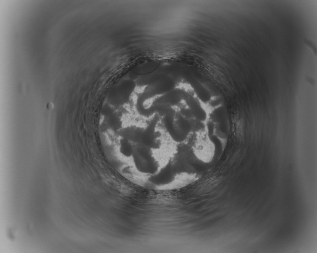 X0000099421393200806060944