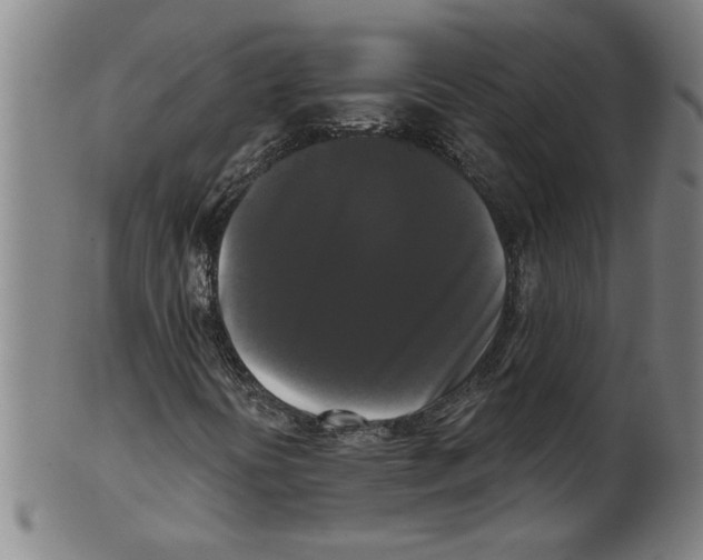 X0000099421394200806060944