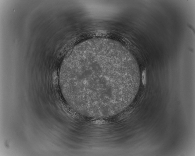 X0000099421395200806060944