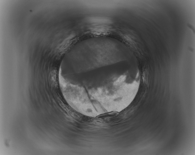 X0000099421396200806060944