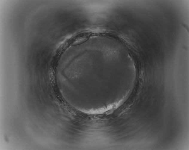 X0000099421398200806060944